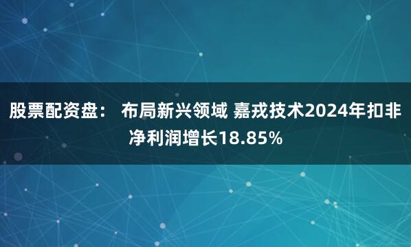 股票配资盘： 布局新兴领域 嘉戎技术2024年扣非净利润增长18.85%