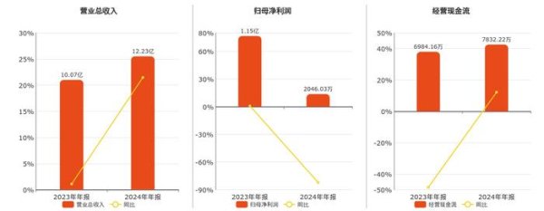 配资炒股股 光大同创(301387.SZ)2024年净利润为2046.03万元、较去年同期下降82.16%