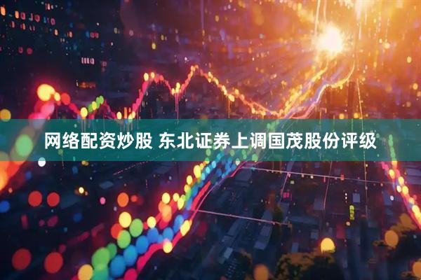 网络配资炒股 东北证券上调国茂股份评级