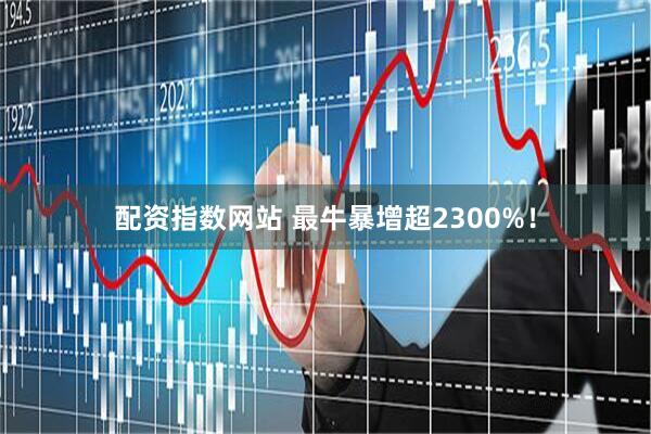 配资指数网站 最牛暴增超2300%！