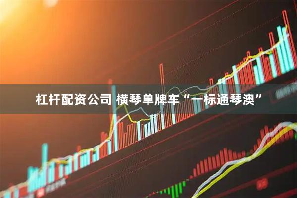 杠杆配资公司 横琴单牌车“一标通琴澳”